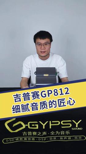 Gypsy sound GP812 8-input 12-output professional audiophile DSP power amplifier