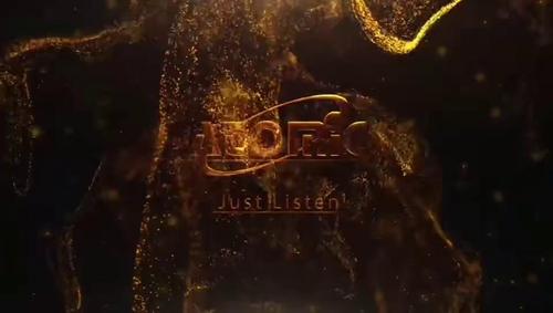 ​Atomic HiFi level QT three-way frequency kit speaker fever level